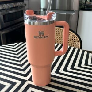 Stanley 40oz Cup Melon